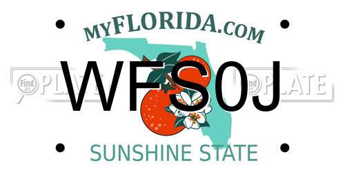 WFS0J Florida License Plate