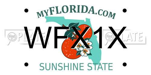 WFX1X Florida License Plate