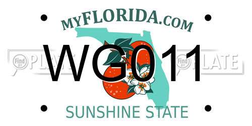 WG011 Florida License Plate