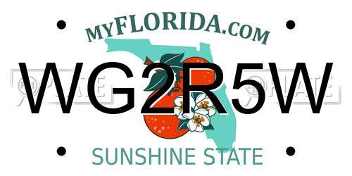 WG2R5W Florida License Plate