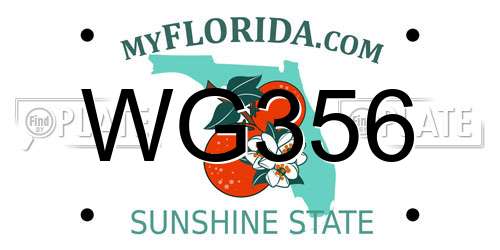 WG356 Florida License Plate
