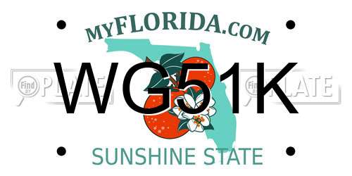 WG51K Florida License Plate