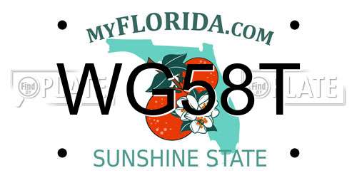 WG58T Florida License Plate