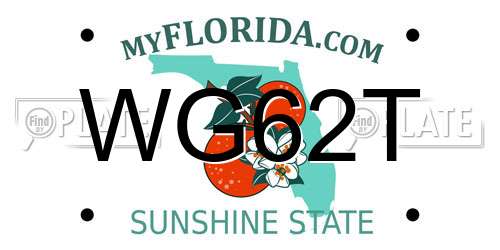 WG62T Florida License Plate