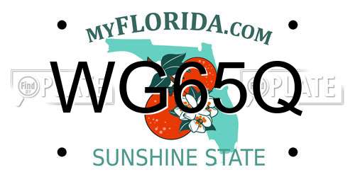 WG65Q Florida License Plate