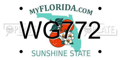 WG772 Florida License Plate