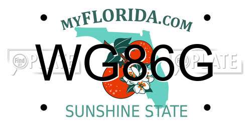 WG86G Florida License Plate
