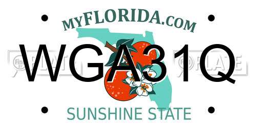 WGA31Q Florida License Plate
