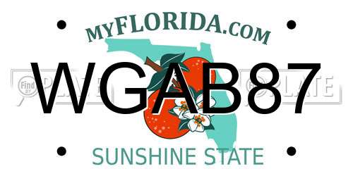 WGAB87 Florida License Plate