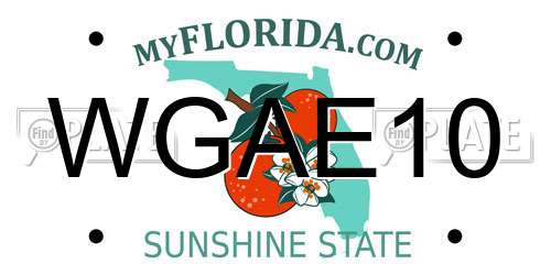 WGAE10 Florida License Plate