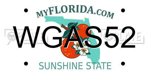 WGAS52 Florida License Plate