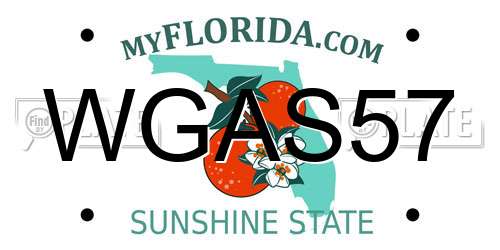WGAS57 Florida License Plate