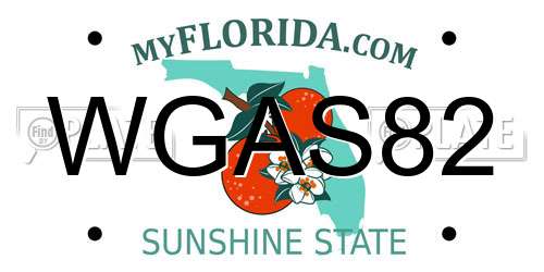 WGAS82 Florida License Plate
