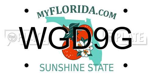 WGD9G Florida License Plate