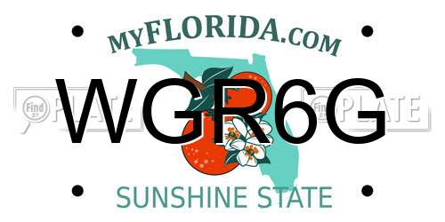 WGR6G Florida License Plate