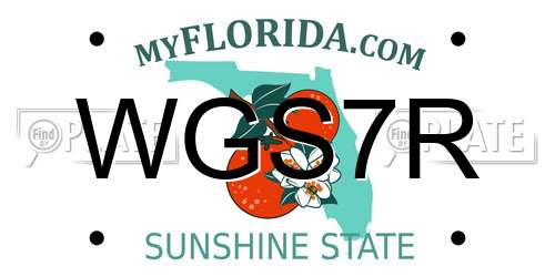 WGS7R Florida License Plate