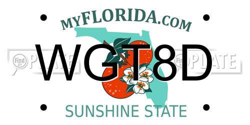 WGT8D Florida License Plate