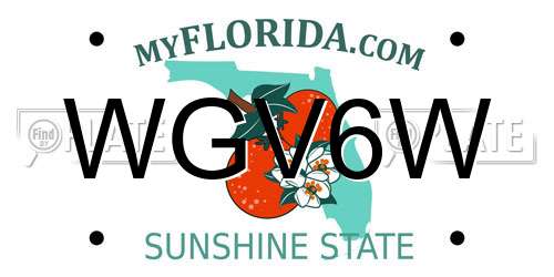 WGV6W Florida License Plate