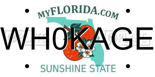WH0KAGE Florida License Plate