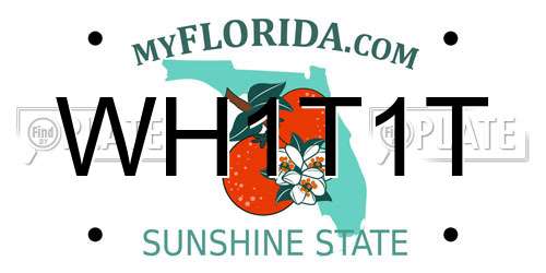 WH1T1T Florida License Plate
