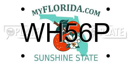 WH56P Florida License Plate