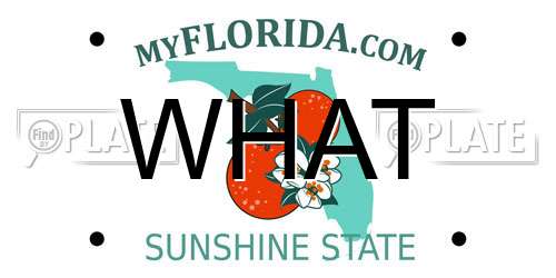 WHAT Florida License Plate