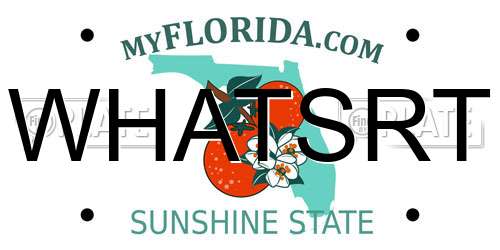WHATSRT Florida License Plate