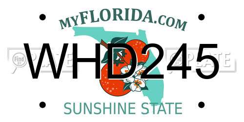 WHD245 Florida License Plate