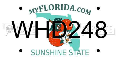 WHD248 Florida License Plate