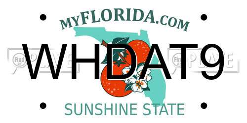 WHDAT9 Florida License Plate