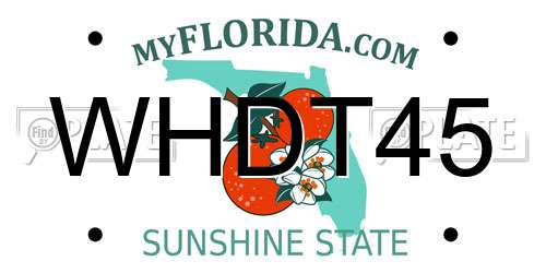 WHDT45 Florida License Plate