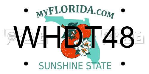 WHDT48 Florida License Plate