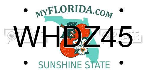 WHDZ45 Florida License Plate