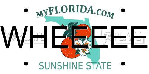 WHEEEEE Florida License Plate
