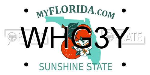 WHG3Y Florida License Plate