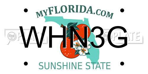 WHN3G Florida License Plate