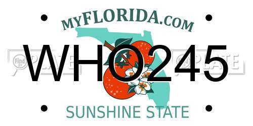 WHO245 Florida License Plate