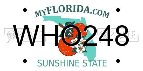WHO248 Florida License Plate