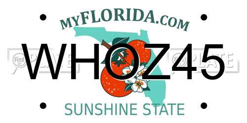 WHOZ45 Florida License Plate