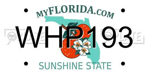 WHP193 Florida License Plate