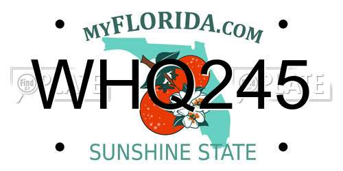 WHQ245 Florida License Plate