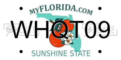 WHQT09 Florida License Plate