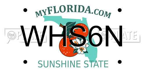 WHS6N Florida License Plate