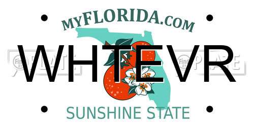 WHTEVR Florida License Plate