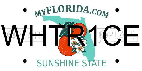WHTR1CE Florida License Plate