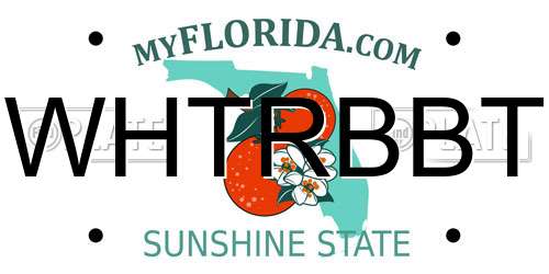 WHTRBBT Florida License Plate