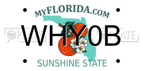 WHY0B Florida License Plate