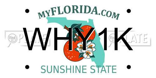 WHY1K Florida License Plate