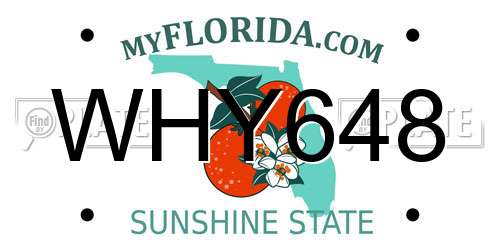 WHY648 Florida License Plate
