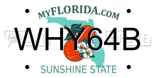 WHY64B Florida License Plate